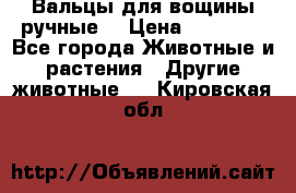 Вальцы для вощины ручные  › Цена ­ 10 000 - Все города Животные и растения » Другие животные   . Кировская обл.